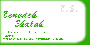 benedek skalak business card